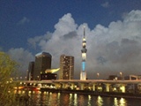 SkyTree